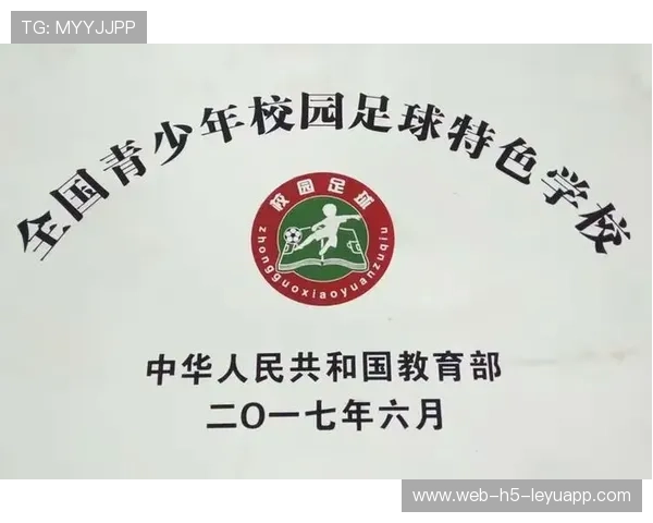 青少年足球赛季后分析总结报告正式发布，青少年足球比赛规则